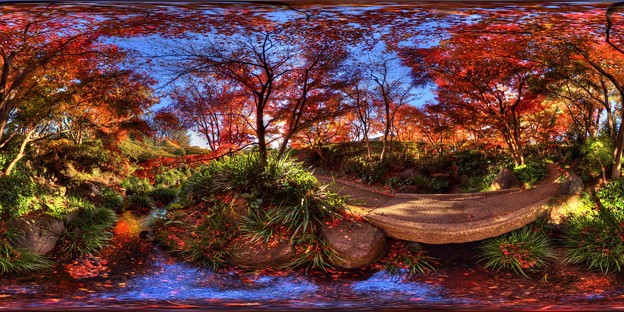 写真: 駿府城公園 紅葉山庭園の紅葉　360度パノラマ写真（６）