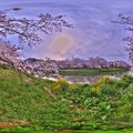 牧之原市 勝間田川の桜 360度パノラマ写真(2) HDR