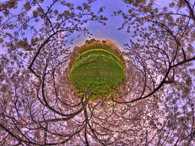 写真: 牧之原市 勝間田川の桜 Little Planet(3) HDR