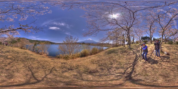 写真: 田貫湖　桜 360度パノラマ写真(1)