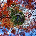 写真: 駿府城公園　紅葉山庭園　紅葉 Little Planet
