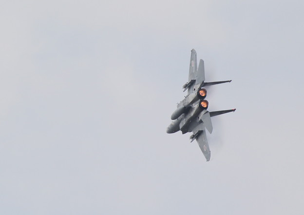 写真: F-15J_機動_2＠航空観閲式