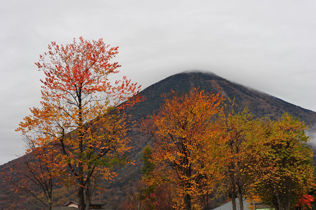 写真: 男体山を背にして紅葉＾＾