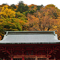 写真: 中禅寺の紅葉＾＾