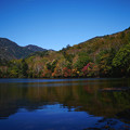 写真: 湯ノ湖の紅葉