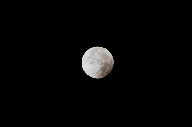 写真: 皆既月食 終了！おつかれさまでした！