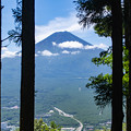 写真: 山頂からの富士山