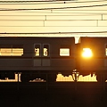 写真: 電車の中の夕日
