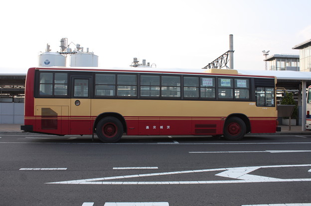 写真: 茨城交通　日野・ブルーリボン　907号車　非公式側側面
