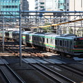写真: 湘南新宿ライン　E231系1000番台K09編成