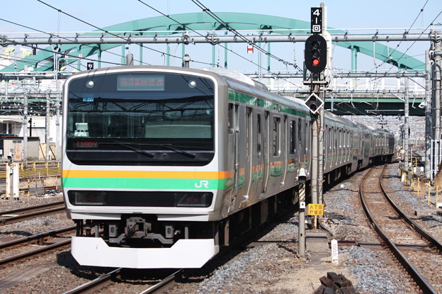 写真: 湘南新宿ライン　E231系1000番台U533編成