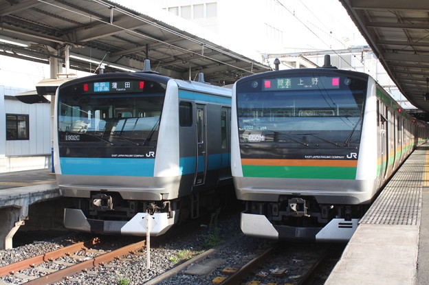 写真: 京浜東北線E233系1000番台サイ171編成・宇都宮線E233系3000番台U222編成