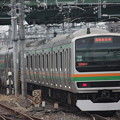 写真: 湘南新宿ライン　E231系1000番台K-07編成　（1）