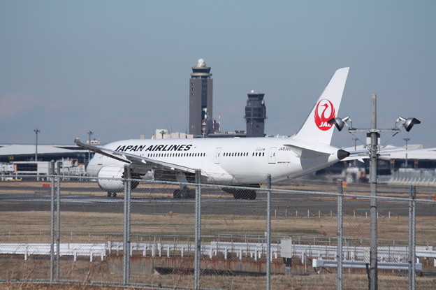 日本航空　JAL　ボーイング787-8　JA836J　（1）