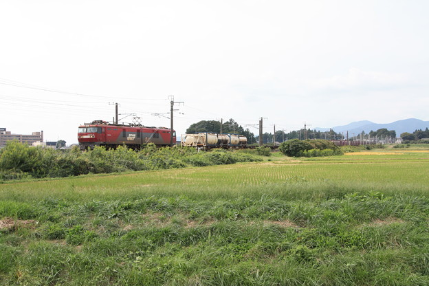 写真: 稲刈り後の田んぼを行くEH500‐33牽引2095レコンテナ貨物　（8）
