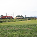 写真: 稲刈り後の田んぼを行くEH500‐33牽引2095レコンテナ貨物　（9）