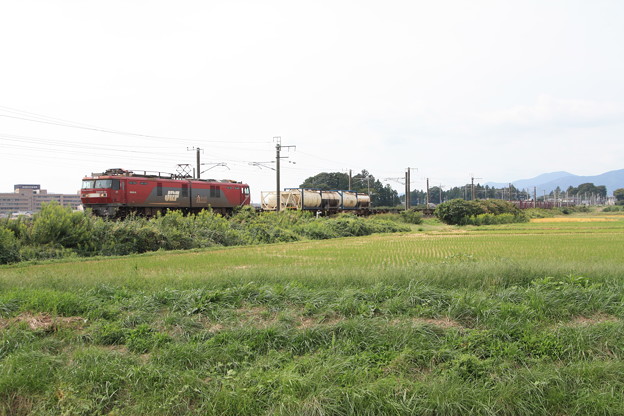 写真: 稲刈り後の田んぼを行くEH500‐33牽引2095レコンテナ貨物　（10）