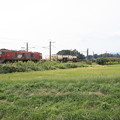 写真: 稲刈り後の田んぼを行くEH500‐33牽引2095レコンテナ貨物　（10）