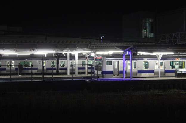 写真: 夜の友部駅に停車するE531系　（1）