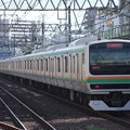 写真: 湘南新宿ライン　E231系1000番台S-04編成