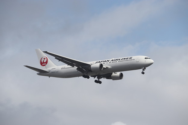 日本航空　JAL　B767-300ER　JA655J　（5）