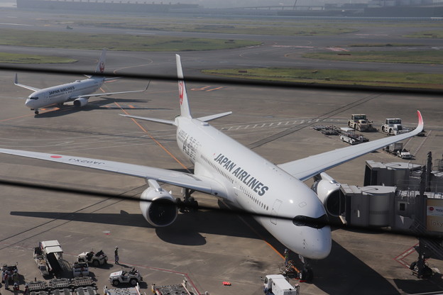 写真: 日本航空　JAL　A350-900　JA02XJ