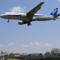 写真: 大阪空港で撮りました ANA A320