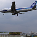 写真: 大阪空港で撮りました ANA A320