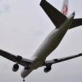 写真: 大阪空港で撮りました JAL 777-300