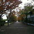 写真: 高松市の総合運動公園