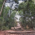 写真: 八幡神社への石段