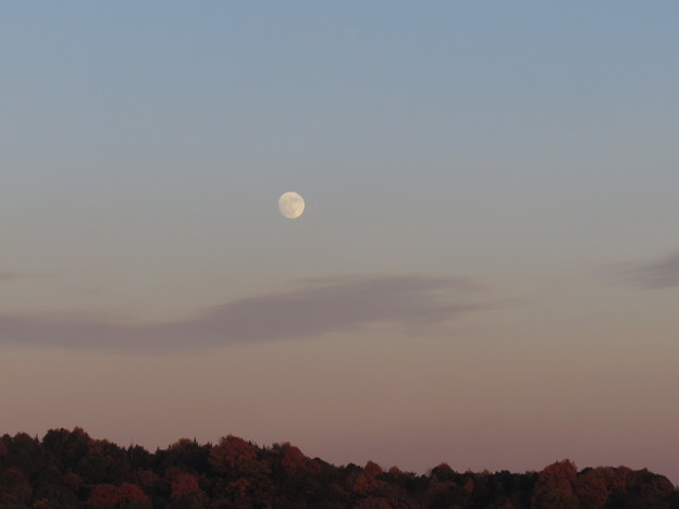 写真: 夕暮れの月
