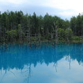 写真: 青い池