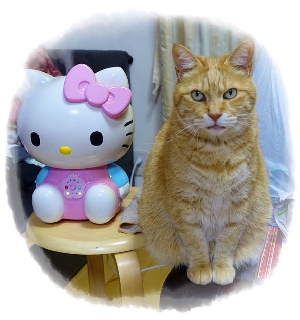 写真: キティちゃんの加湿器と恵子