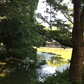 写真: 河底池（大阪／茶臼山）
