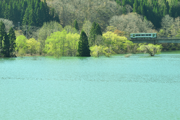 写真: 春の錦秋湖５
