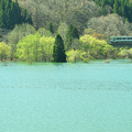 写真: 春の錦秋湖５