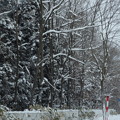写真: 車窓から　雪のある景色