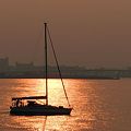 朝陽のヨット