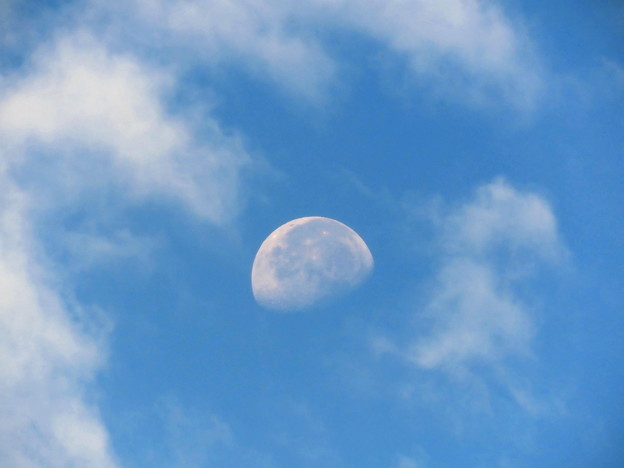 雲間の残月
