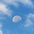 写真: 雲間の残月
