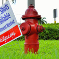 写真: a fire-hydrant