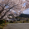 写真: 観桜対角線法撮影