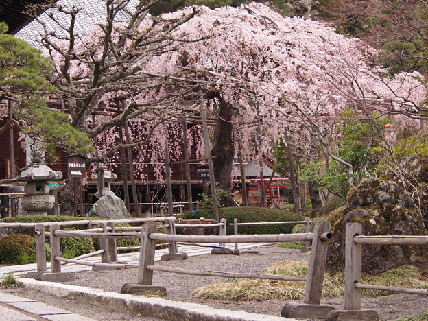 写真: 長野県木曽福島町には紅葉、桜が美しい興禅寺があります