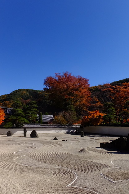 写真: 日本最大級の広さを誇る枯山水