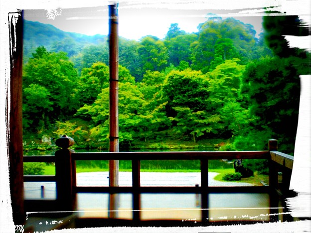 写真: 大本山天龍寺の池