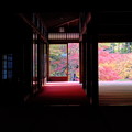 京都南禅寺天授庵の紅葉