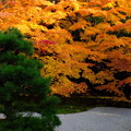 写真: 美しすぎた南禅寺天授庵の紅葉