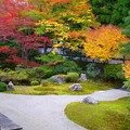 写真: 京都泉涌寺伝説の庭、紅葉