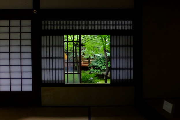 写真: 窓の向こうに緑あり、京都で撮影した京都的景色